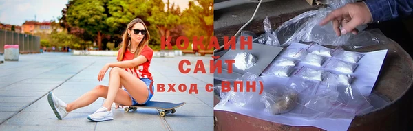 стафф Богородицк